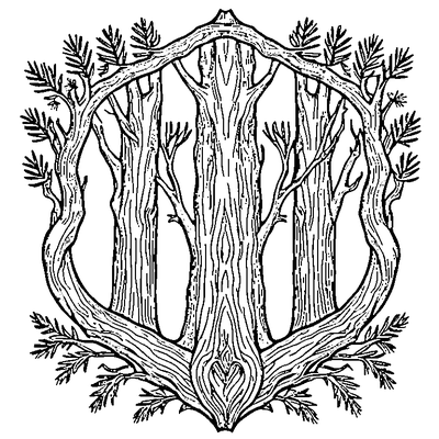 Pine Branch With Needles coloring page variation 2