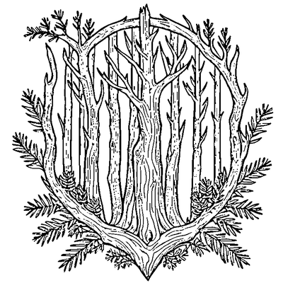 Pine Branch With Needles coloring page variation 4