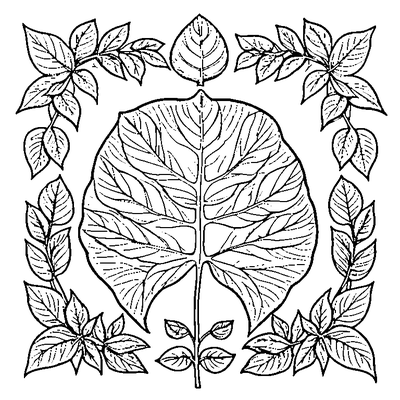 Pressed Botanical Leaf Specimen coloring page variation 4