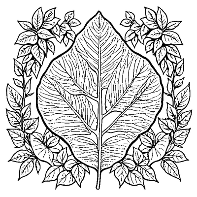 Pressed Botanical Leaf Specimen Printable