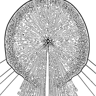 Rain Drops Pattern coloring page variation 3