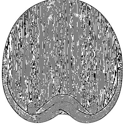 Ribbon Pattern Wavy Lines