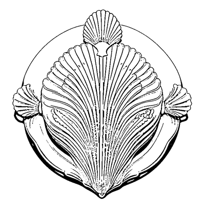 Scallop Pattern Shell Edge Design