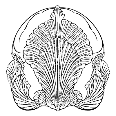 Scallop Pattern Shell Edge