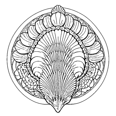 Scallop Pattern Shell Edge coloring page variation 3