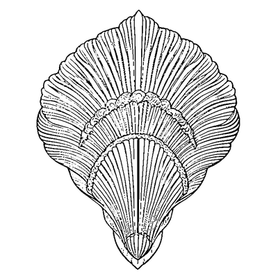 Scallop Pattern Shell Edge coloring page variation 4