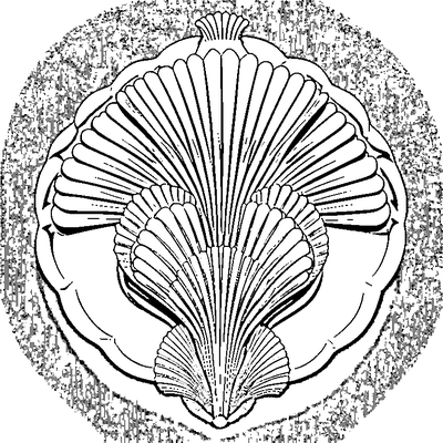 Scallop Pattern Shell Edge coloring page variation 5