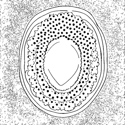 Scattered Polka Dots coloring page variation 5