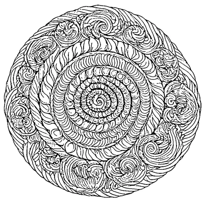 Seashell Pattern Spiral coloring page variation 2
