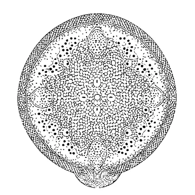 simple dots pattern coloring pages