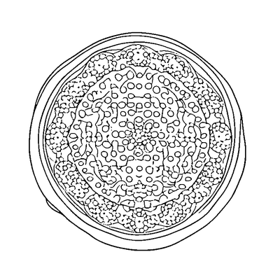 Simple Dots Pattern coloring page variation 2