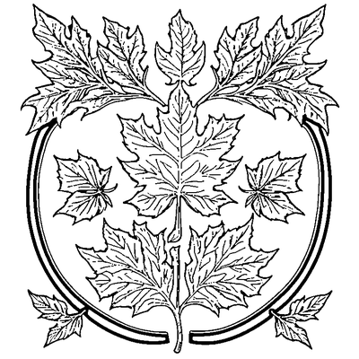 Simple Oak Leaf With Acorn coloring page variation 5