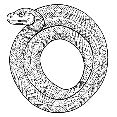 Snake Skin Pattern coloring page - free printable