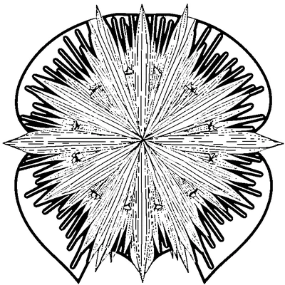 Starburst Pattern Explosion coloring page variation 2