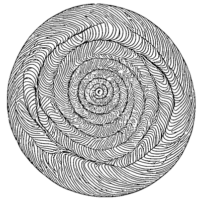 Swirl Pattern Spiral