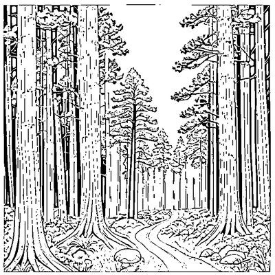 Three Pine Trees In A Forest coloring page - free printable