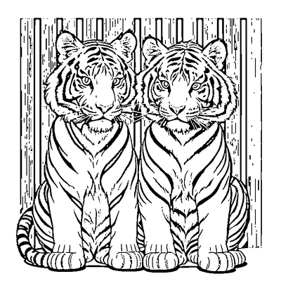 Tiger Stripe Pattern coloring page - free printable