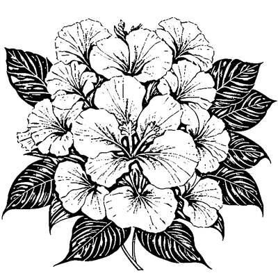 Tropical Leaf With Hibiscus Flower Coloring Page