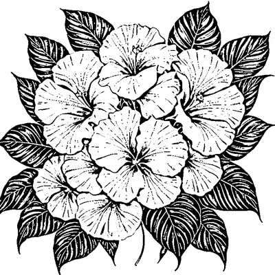 Tropical Leaf With Hibiscus Flower Design
