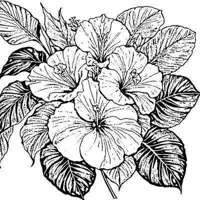 Tropical Leaf With Hibiscus Flower Template