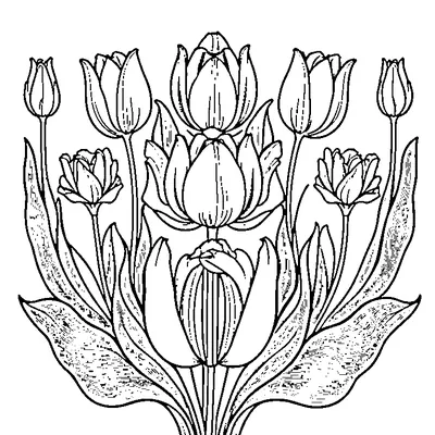 tulip pattern repeated coloring pages