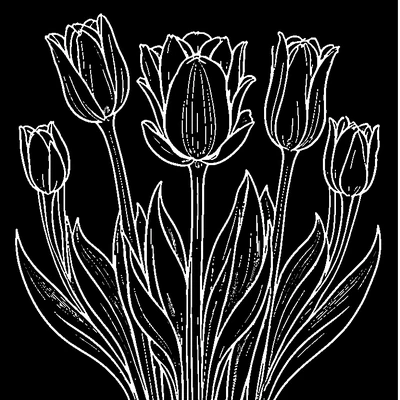 Tulip Pattern Repeated coloring page variation 1