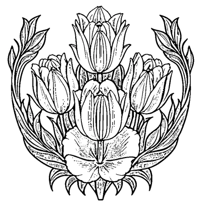 Tulip Pattern Repeated coloring page variation 2