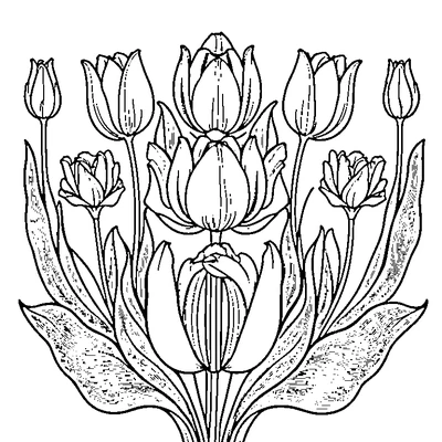 Tulip Pattern Repeated coloring page variation 3