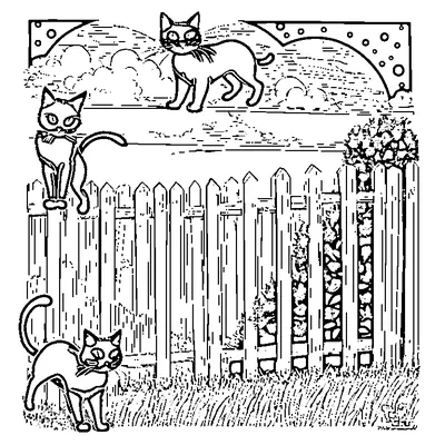 Two Black Cats On A Fence At Night coloring page - free printable