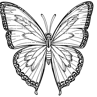 Zentangle Butterfly Wings coloring page - free printable