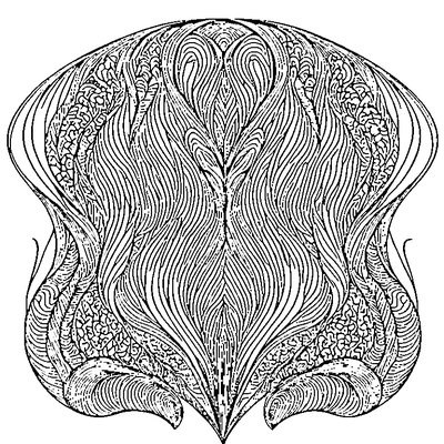 zentangle wave lines design