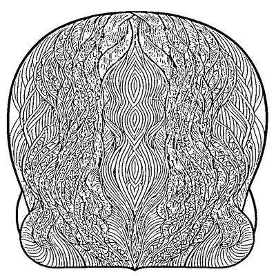 zentangle wave lines printable